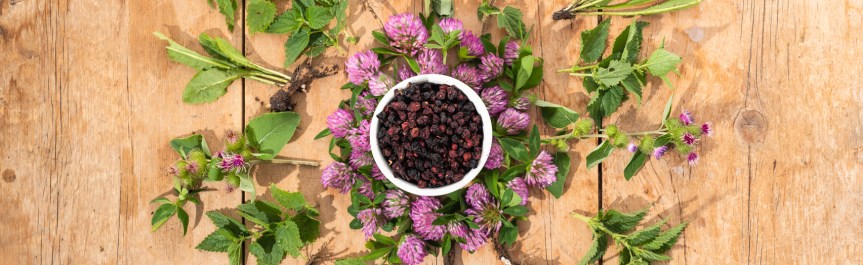 Herbs for Natural Detox – Traditional Medicinals – Herbal&nbsp;Wellness