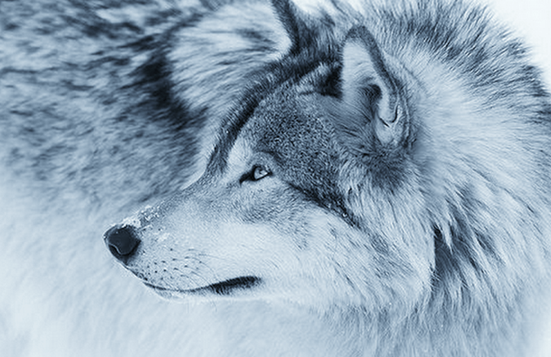 Inner Harmony; Full Moon in&nbsp;Cancer