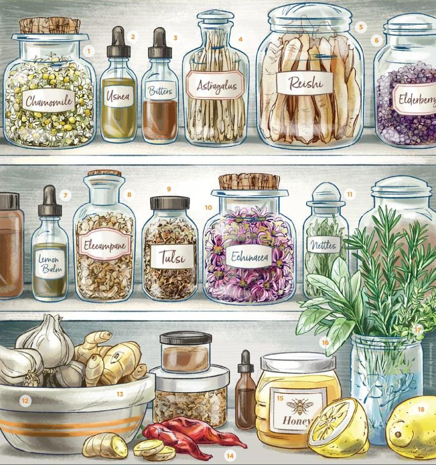 Herbal Medicine Cabinet – Urban&nbsp;Moonshine