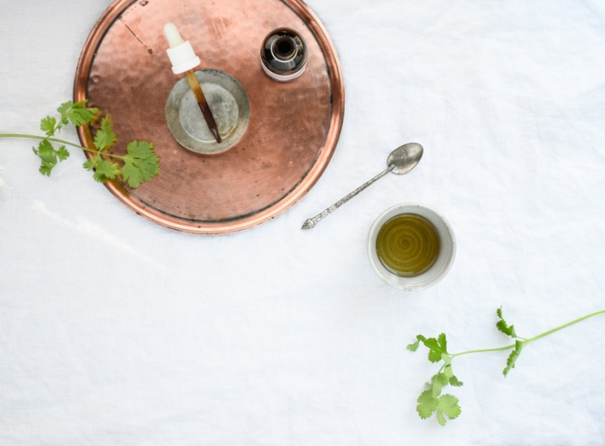 Bitter Principles; How Bitter’s Work In Modern Herbal&nbsp;Medicine