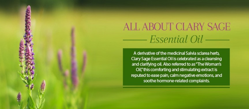 What Are The Health Benefits of Clary Sage&nbsp;Oil?