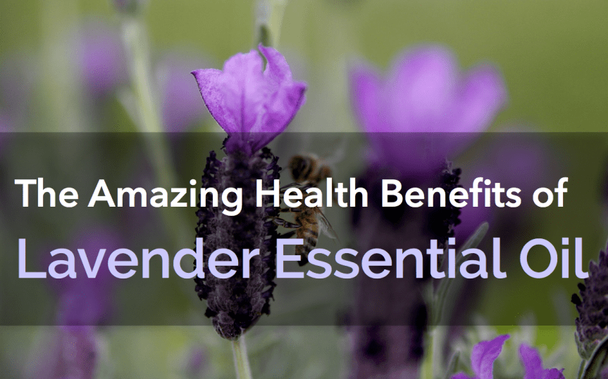 LAVENDER’S MEDICINAL AND AROMATHERAPY&nbsp;USES