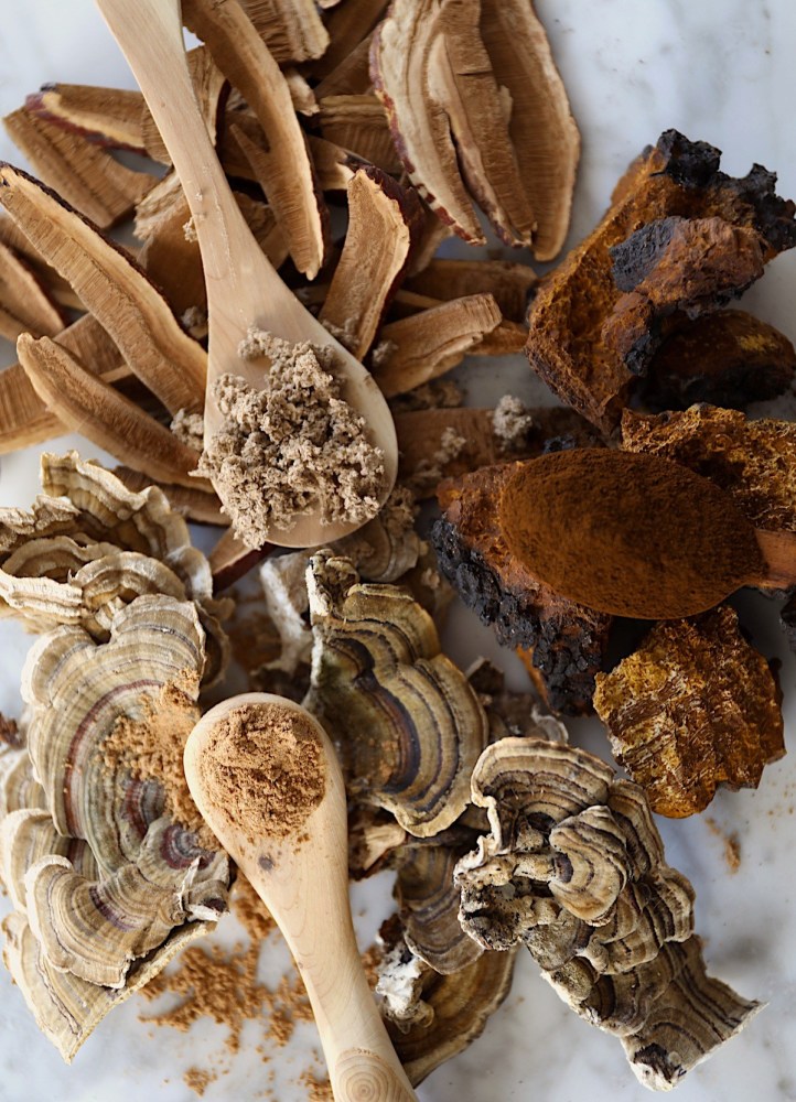 The Mushroom Course Giveaway – Herbal&nbsp;Academy