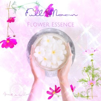 Flower Moon Essence Ceremony - Spirit de la Lune