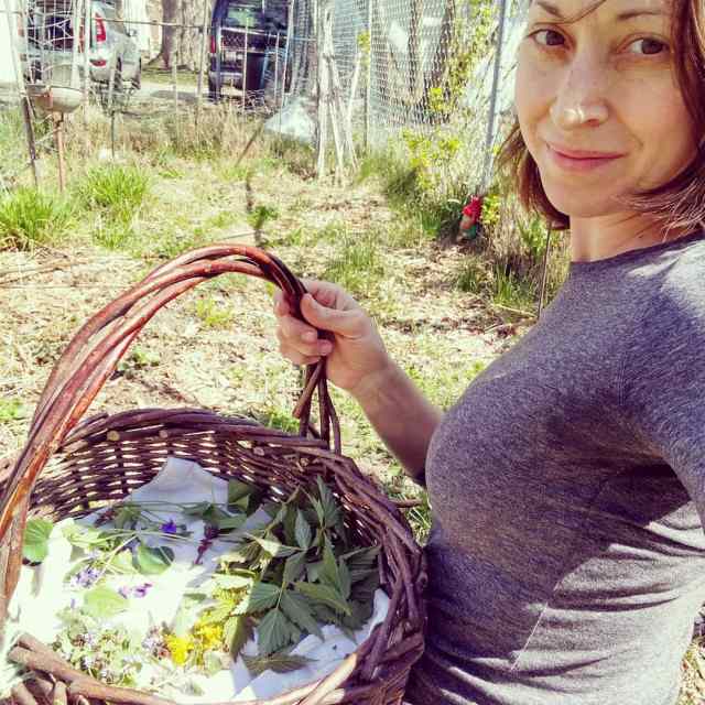 Crafting Herbal Extracts…. – My Herbal&nbsp;Adventures…