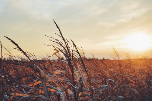 Photo Jul 26, 12 05 50 PM.jpg