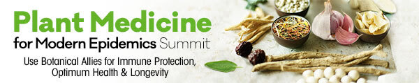 Free Online Event Plant Medicine for Modern Epidemics Summit August 24-28,&nbsp;2020