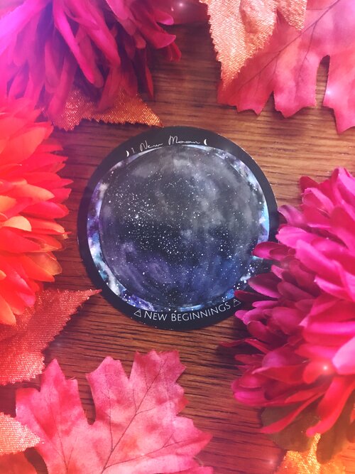 New Moon in Scorpio Lunar Report | Welcoming in Winter