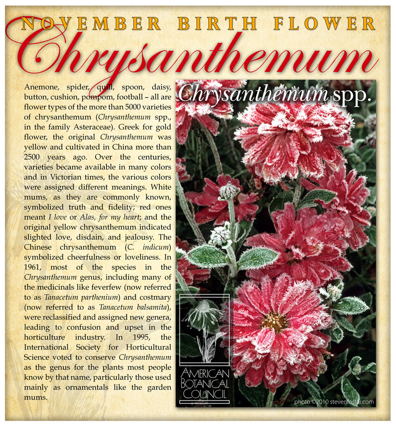 The Energies of November&nbsp;2020