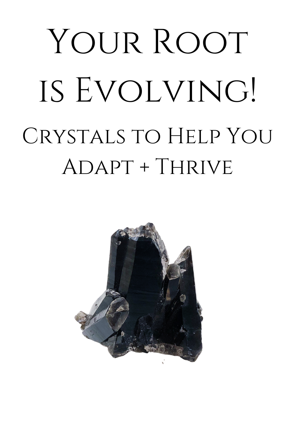 Your Root is Evolving: Crystals to Help You Adapt + Thrive / www.krista-mitchell.com