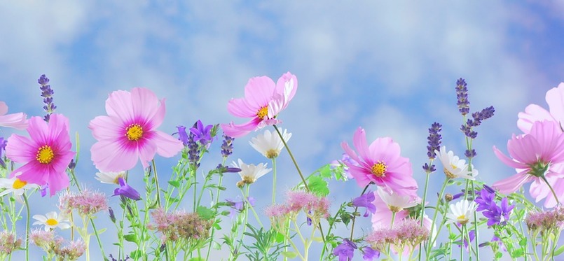 Energies of May, New Moon, Full Moon Eclipse, the Influence of Taurus, Negotiating Ongoing&nbsp;Change