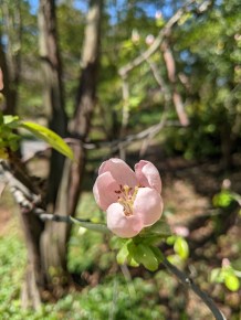 PXL_20210402_173312198