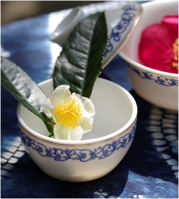 White flower and 2 green leaves in a white tea cup with a blue border, on a dark blue tablecloth
