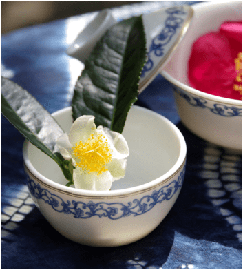 White flower and 2 green leaves in a white tea cup with a blue border, on a dark blue tablecloth