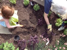 A girl and a woman planting herbs