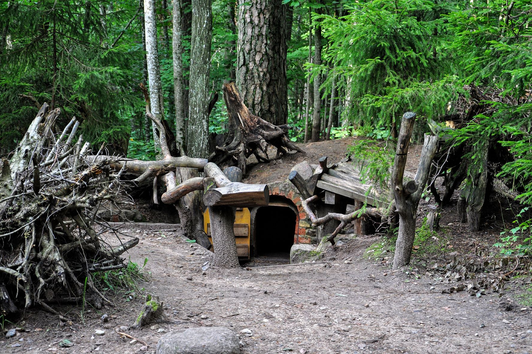Hidden doorway in the forest floor