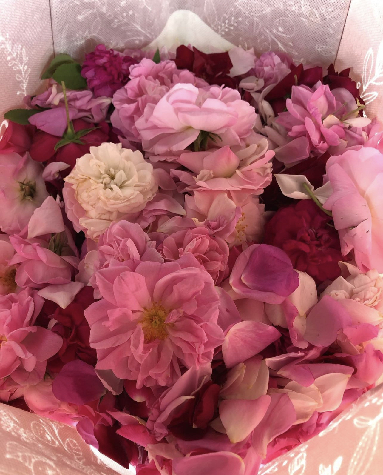 Harvest Day of Roses at the Western Reserve Herb Society Gardens