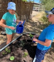 Two kids plant herbs in a raised bed.