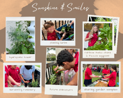 Composite photo of various people planting herbs